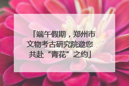 端午假期，郑州市文物考古研究院邀您共赴“青花”之约