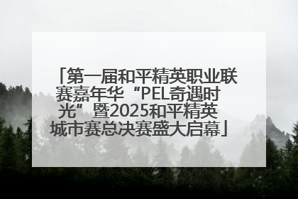 第一届和平精英职业联赛嘉年华“PEL奇遇时光”暨2025和平精英城市赛总决赛盛大启幕