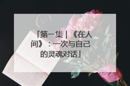 第一集｜《在人间》：一次与自己的灵魂对话