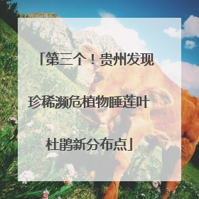 第三个！贵州发现珍稀濒危植物睡莲叶杜鹃新分布点