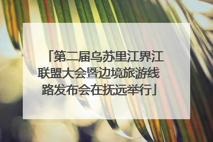 第二届乌苏里江界江联盟大会暨边境旅游线路发布会在抚远举行