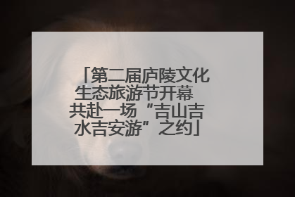 第二届庐陵文化生态旅游节开幕 共赴一场“吉山吉水吉安游”之约