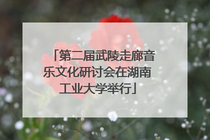 第二届武陵走廊音乐文化研讨会在湖南工业大学举行