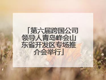 第六届跨国公司领导人青岛峰会山东省开发区专场推介会举行