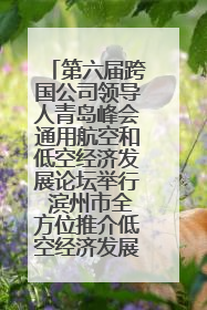 第六届跨国公司领导人青岛峰会通用航空和低空经济发展论坛举行 滨州市全方位推介低空经济发展优势