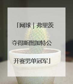 网球｜弗里茨夺得斯图加特公开赛男单冠军
