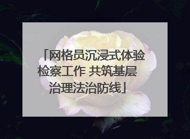 网格员沉浸式体验检察工作 共筑基层治理法治防线