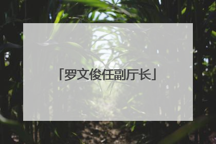 罗文俊任副厅长