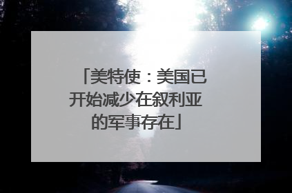 美特使：美国已开始减少在叙利亚的军事存在