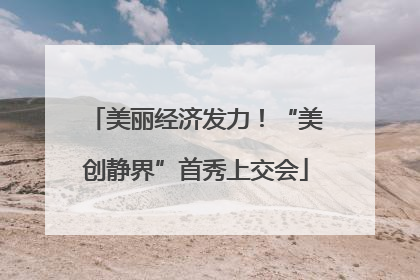 美丽经济发力！“美创静界”首秀上交会