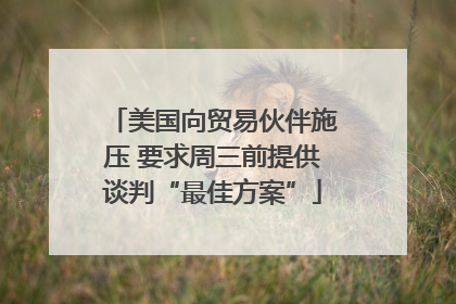 美国向贸易伙伴施压 要求周三前提供谈判“最佳方案”