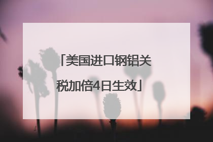 美国进口钢铝关税加倍4日生效
