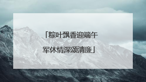 粽叶飘香迎端午 军休情深颂清廉
