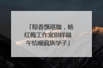 粽香飘珞珈，杨红梅工作室别样端午情暖藏族学子