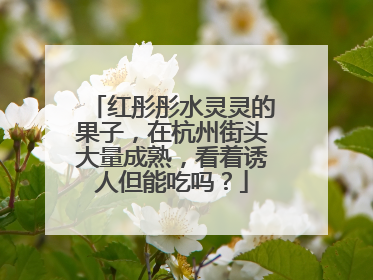 红彤彤水灵灵的果子，在杭州街头大量成熟，看着诱人但能吃吗？