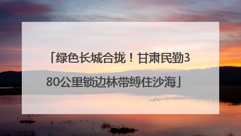 绿色长城合拢！甘肃民勤380公里锁边林带缚住沙海