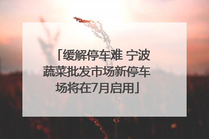 缓解停车难 宁波蔬菜批发市场新停车场将在7月启用