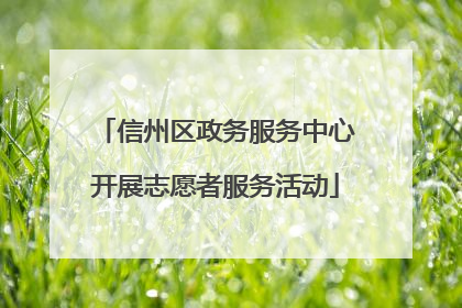 信州区政务服务中心开展志愿者服务活动