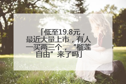 低至19.8元，最近大量上市，有人一买两三个，“榴莲自由”来了吗