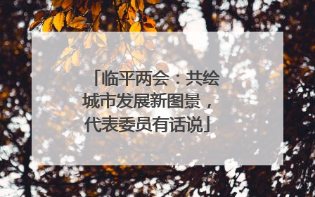 临平两会：共绘城市发展新图景，代表委员有话说