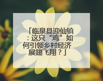 临泉县迎仙镇：这只“鸡”如何引领乡村经济展翅飞翔？