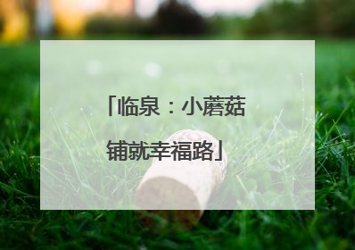 临泉：小蘑菇铺就幸福路