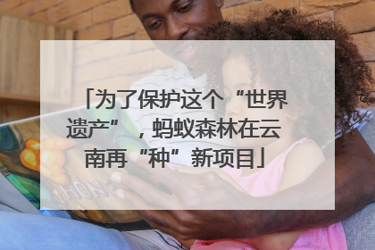 为了保护这个“世界遗产”，蚂蚁森林在云南再“种”新项目