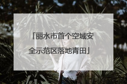 丽水市首个空域安全示范区落地青田