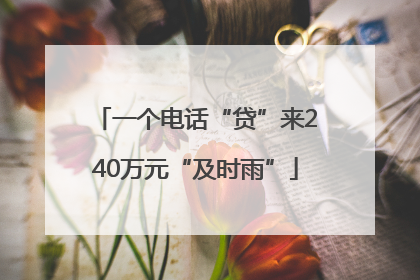 一个电话“贷”来240万元“及时雨”