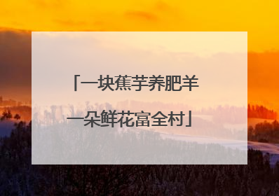 一块蕉芋养肥羊 一朵鲜花富全村