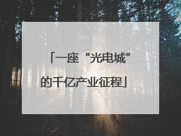 一座“光电城”的千亿产业征程