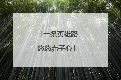 一条英雄路 悠悠赤子心