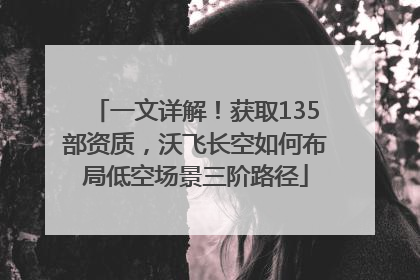 一文详解！获取135部资质，沃飞长空如何布局低空场景三阶路径