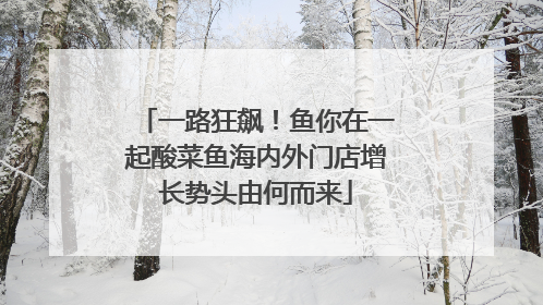 一路狂飙！鱼你在一起酸菜鱼海内外门店增长势头由何而来