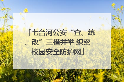 七台河公安“查、练、改”三措并举 织密校园安全防护网
