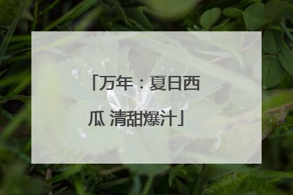 万年：夏日西瓜 清甜爆汁