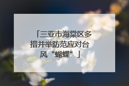 三亚市海棠区多措并举防范应对台风“蝴蝶”