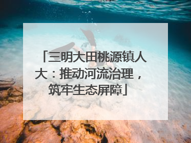 三明大田桃源镇人大：推动河流治理，筑牢生态屏障