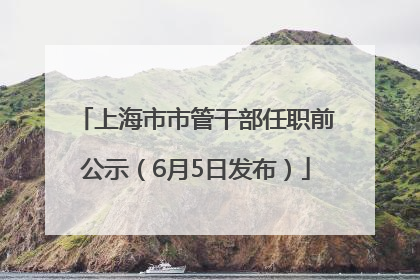 上海市市管干部任职前公示（6月5日发布）