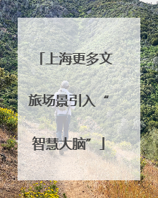 上海更多文旅场景引入“智慧大脑”