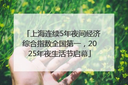 上海连续5年夜间经济综合指数全国第一，2025年夜生活节启幕