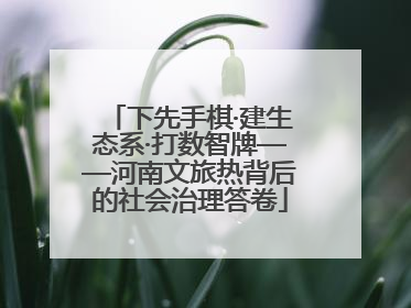 下先手棋·建生态系·打数智牌——河南文旅热背后的社会治理答卷