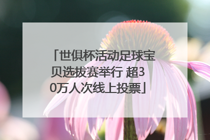 世俱杯活动足球宝贝选拔赛举行 超30万人次线上投票
