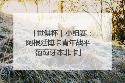 世俱杯｜小组赛：阿根廷博卡青年战平葡萄牙本菲卡