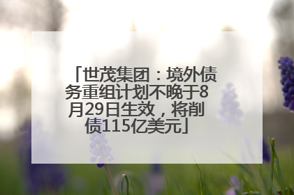 世茂集团：境外债务重组计划不晚于8月29日生效，将削债115亿美元