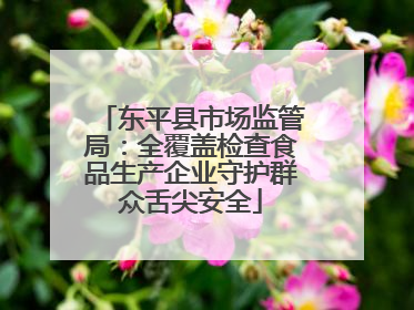 东平县市场监管局：全覆盖检查食品生产企业守护群众舌尖安全