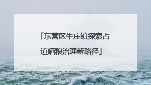 东营区牛庄镇探索占道晒粮治理新路径