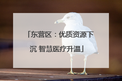 东营区：优质资源下沉 智慧医疗升温