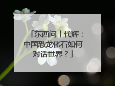 东西问丨代辉：中国恐龙化石如何对话世界？