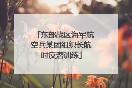 东部战区海军航空兵某团组织长航时反潜训练